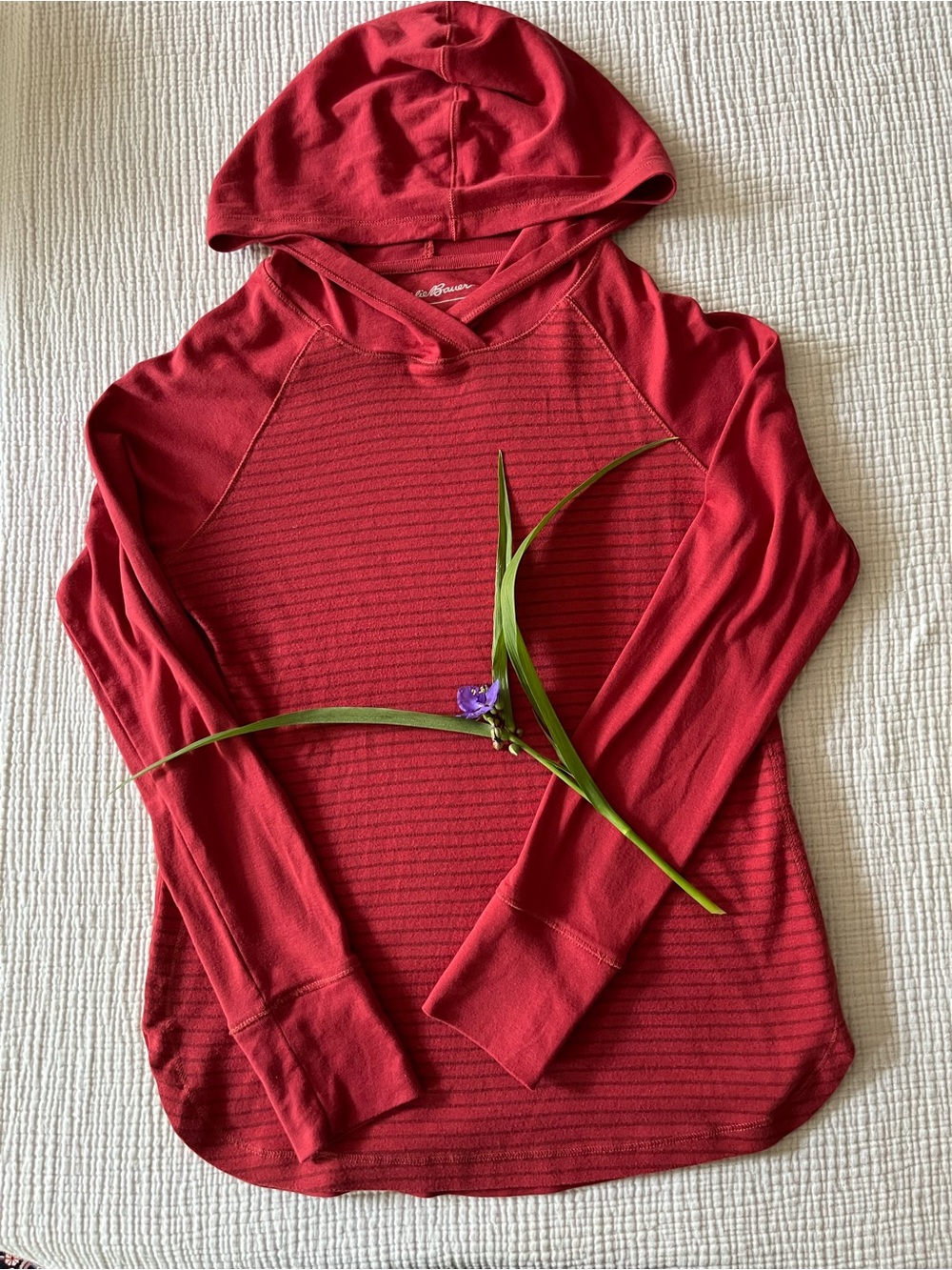 Eddie Bauer Garnet Red Striped Pullover Hoodie